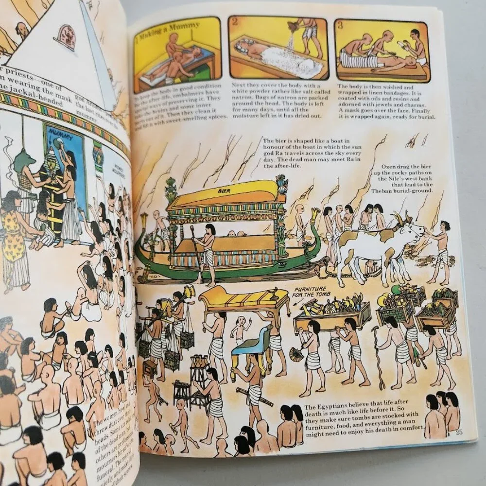 Time Traveller Book of Pharaohs and Pyramids Paperback Book History Comic Book